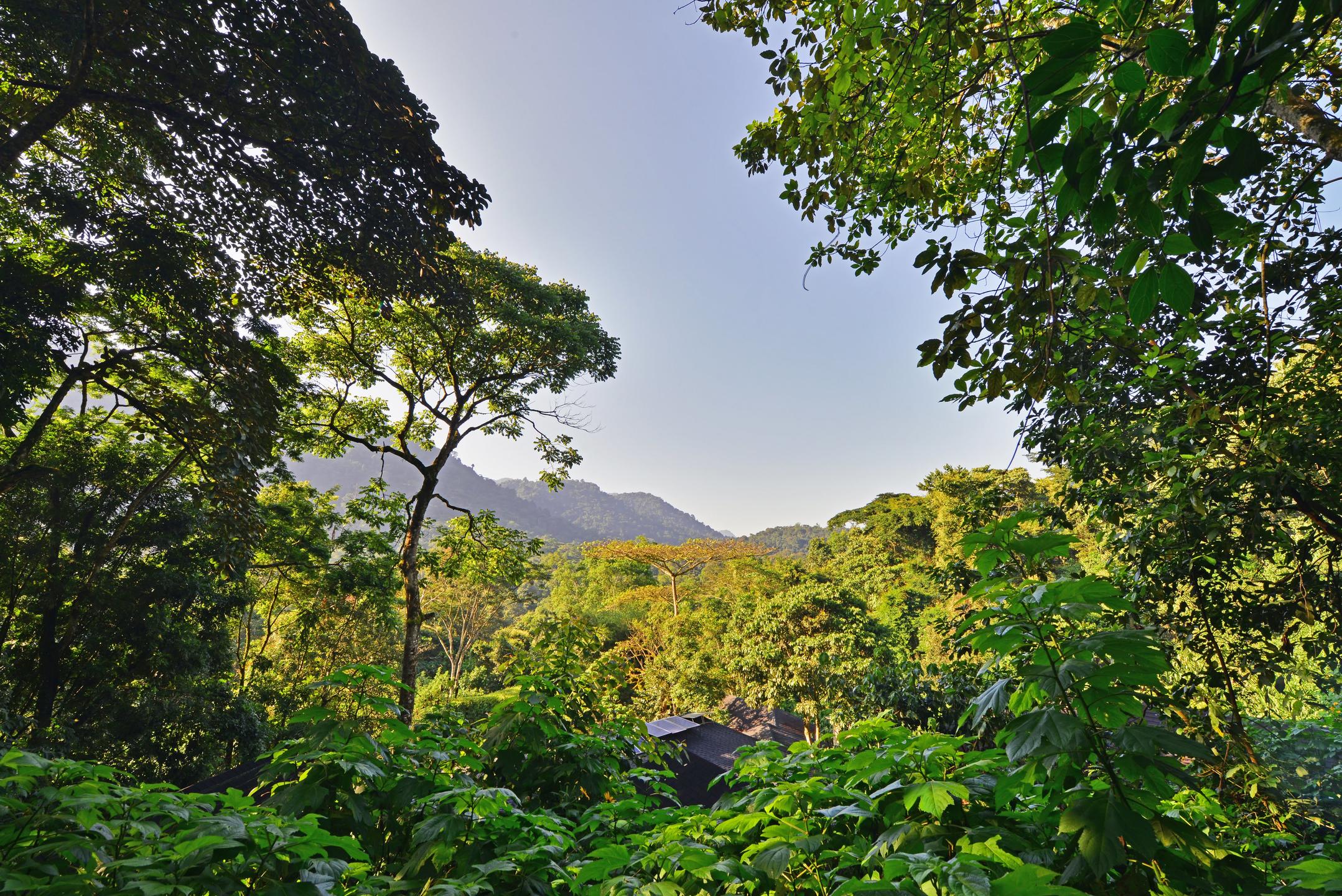 Buhoma Lodge thumbnail 1